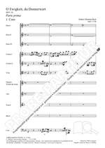 Bach, JS: O Ewigkeit, du Donnerwort (I) (BWV 20; F-Dur) Product Image