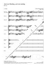 Bach, JS: Ach wie flüchtig, ach wie nichtig (BWV 26) Product Image