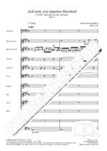 Bach, JS: Ach Gott, wie manches Herzeleid (BWV 3; A-Dur) Product Image