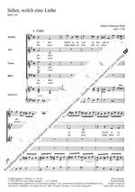 Bach, JS: Sehet, welch eine Liebe hat uns der Vater erzeiget (BWV 64; e-Moll) Product Image