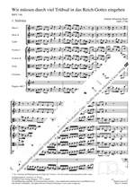 Bach, JS: Wir müssen durch viel Trübsal (BWV 146; d-Moll) Product Image