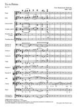 Mendelssohn Bartholdy: Tu es Petrus (Op.111) Product Image