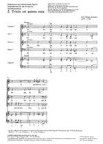 Zelenka: Tristis est anima mea (ZWV 55 no. 2; CDur) Product Image