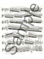 Niccolò Paganini: 24 Caprices Op.1, Vol.2 Product Image