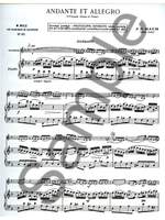 Johann Sebastian Bach: Andante Et Allegro Product Image