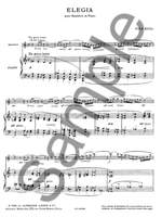Nino Rota: Elegia Product Image