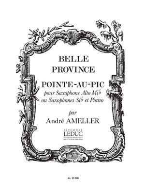 André Ameller: Pointe au Pic Op.185
