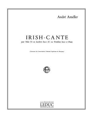 André Ameller: Irish-Cante