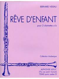 Bernard Videau: Bernard Videau: Rêve d'enfant