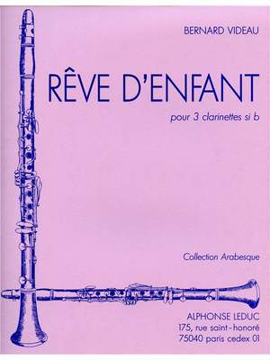 Bernard Videau: Bernard Videau: Rêve d'enfant