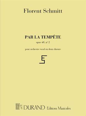 Schmitt: Par la Tempête Op.40, No.2