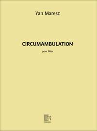 Maresz: Circumambulation