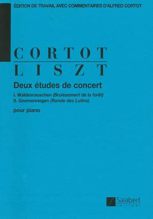 Liszt: 2 Etudes de Concert