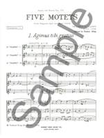 Orlando di Lasso: 5 Motets from Magnus Opus Musicum Product Image