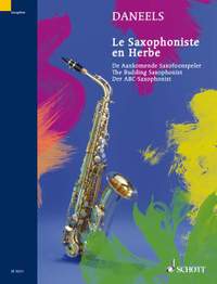 Daneels, F: The Budding Saxophonist
