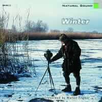 Winter at Lake Constance