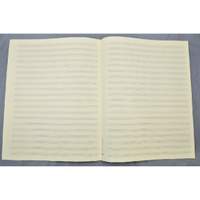 Music manuscript paper 20 staves