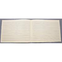 Music manuscript paper 12 staves