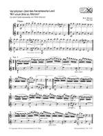 Mozart, W A: 12 Variations On Ah! Vous 2fl Kv 300e (265) Product Image