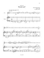 Blue Baroque  Flute Product Image