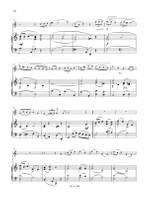 Blue Baroque  Flute Product Image