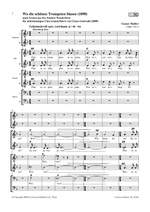 Mahler, G: Wo die schönen Trompeten blasen Product Image