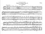 Brahms, J: Waltzes op. 39 Product Image