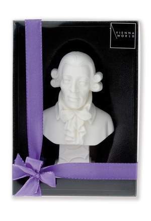 Bust Haydn