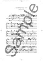 Franz Joseph Haydn: Insanae Et Vanae Curae (New Engraving) Product Image