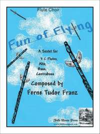 Franz: Fun of Flying