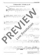 Schulz, L: The Collected Guitar Studies Product Image