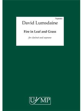 David Lumsdaine: Fire in Leaf and Grass
