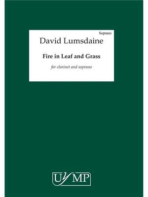 David Lumsdaine: Fire in Leaf and Grass