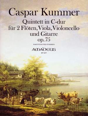 Kummer, K: Quintet op. 75