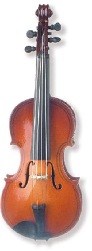 Violin magnetic