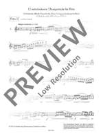 The Flutists Progress op. 33 Issue 2 Product Image