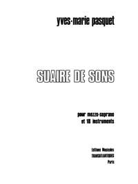 Yves-Marie Pasquet: Suaire De Sons