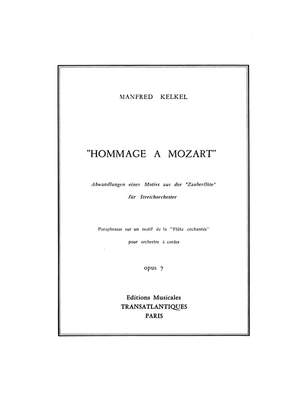 Manfred Kelkel: Hommage À Mozart