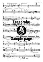 Raphael: Violinkonzert, Nr. 2 op. 87 Product Image