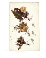 Das Berliner Blumentagebuch der Clara Schumann Product Image