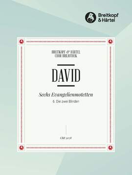 David, J: 6 Evangelien-Mot.6.Zwei Blinde