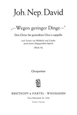David, J: Wegen geringer Dinge Wk 76