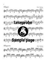 Klassiker der Gitarre, Band 2 Product Image