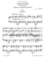 Liszt: Fantasia "Ad nos,ad salutarem" Product Image