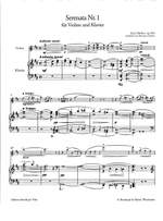 Sibelius: Serenade, Nr. 1 op. 69a Product Image