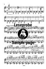 Wagner: Das Liebesverbot Product Image