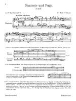 Busoni: 2 Kontrapunkt-Studien n. Bach Product Image