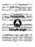 Stamitz: Flötenkonzert D-Dur Product Image