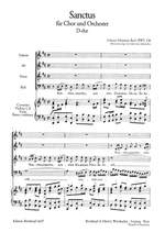 Bach, JS: Sanctus D-dur BWV 238 Product Image