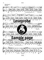 Giuliani: Grosse Serenade op. 82 Product Image